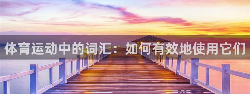 77体育官网