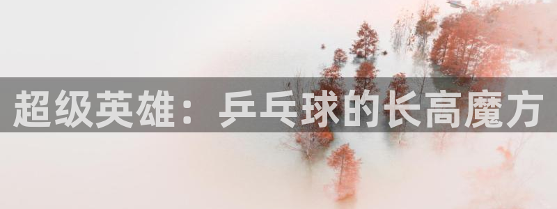77体育app下载官网