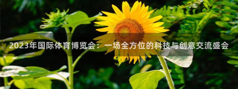 77体育