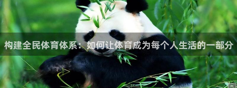 77体育：构建全民体育体系：如何让体育成为每个人生活的一部分