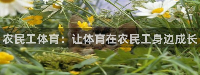 皇冠277体育：农民工体育：让体育在农民工身边成长