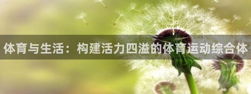 77体育官网：体育与生活：构建活力四溢的体育运动综合体