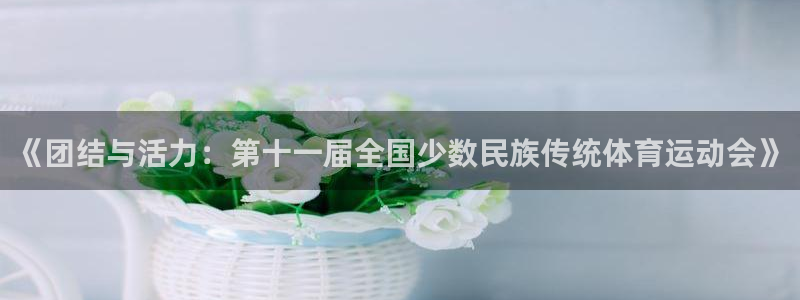 77体育app下载官网：《团结与活力：第十一届全国少数民族传统体育运动会》