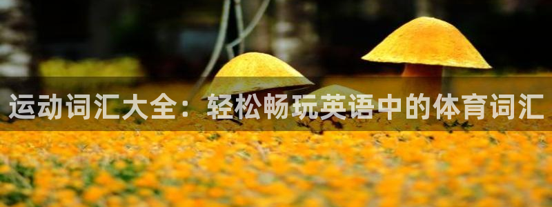 皇冠277体育：运动词汇大全：轻松畅玩英语中的体育词汇